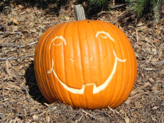 Big Smile, Nipomo Pumpkin Patch best carving idea